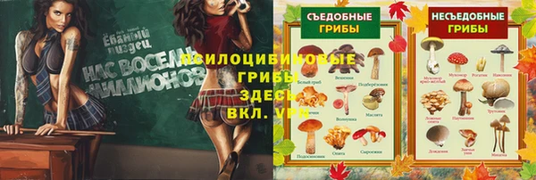 гашиш Шадринск